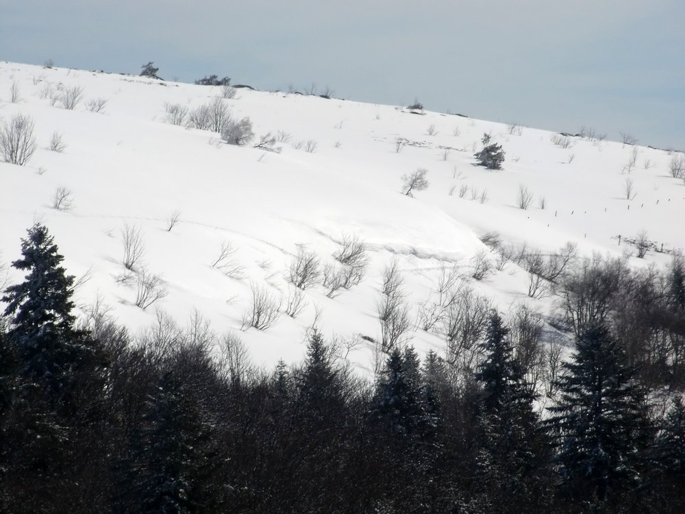 #5 corniche : Plaque à vent déjà repéré sur le forum des nordiques? corniche : Plaque à vent déjà repéré sur le forum des nordiques?