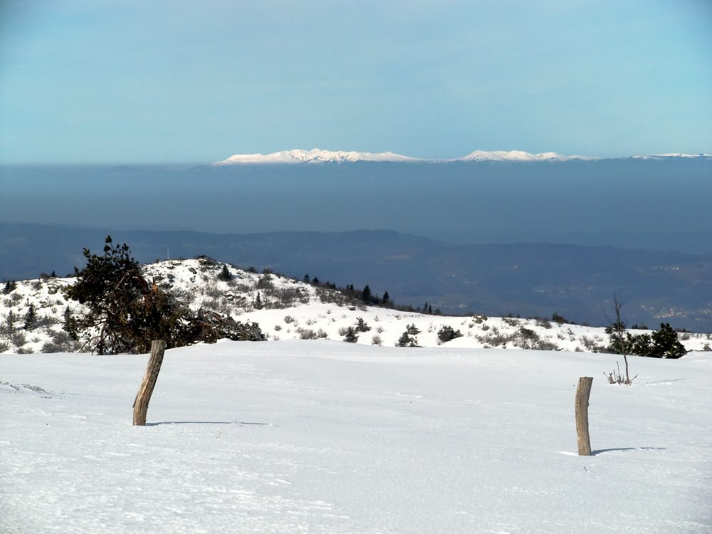 #2 sancy : Le sancy sort de la brume... sancy : Le sancy sort de la brume...