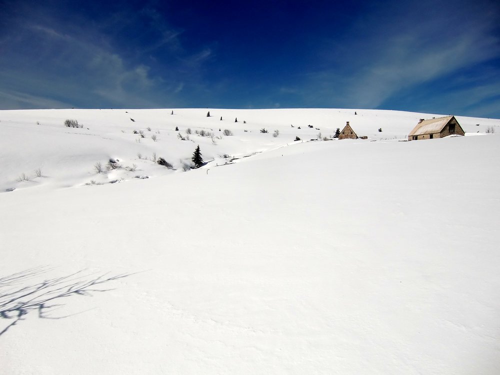 #6 Heïdi : C Heïdi : C'est tout blanc, ou est le printemps?