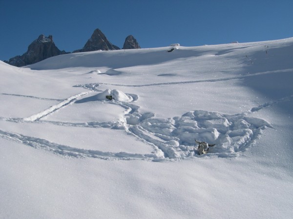 #1 Tête de chat et de vache : Une tête de vache sortie de la neige (par quelle bestiole, des connaisseurs?) et les trois aiguilles d Tête de chat et de vache : Une tête de vache sortie de la neige (par quelle bestiole, des connaisseurs?) et les trois aiguilles d'Arves