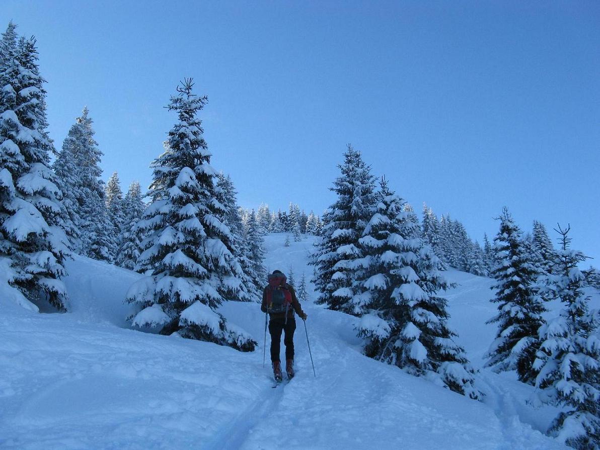 #2 Montée à la Tête de la Sallaz : Au-dessus de Romme Montée à la Tête de la Sallaz : Au-dessus de Romme