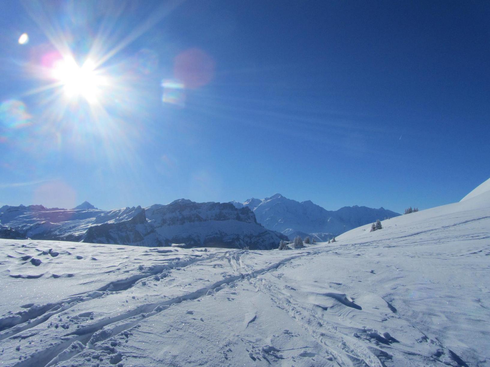 #3 Montée à la Tête de la Sallaz : première apparition du Mont-Blanc Montée à la Tête de la Sallaz : première apparition du Mont-Blanc