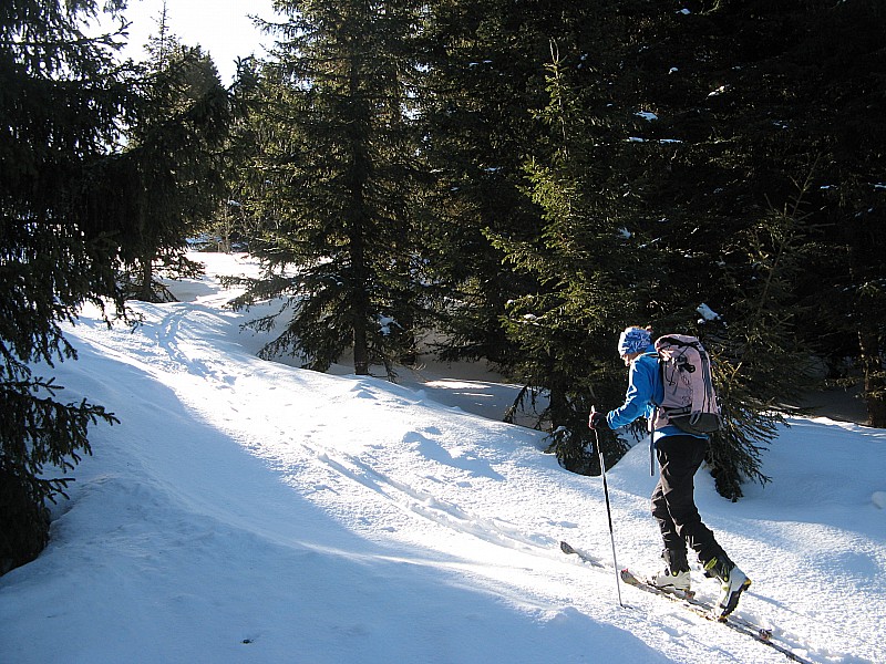 #1 Sortie de la foret Sortie de la foret