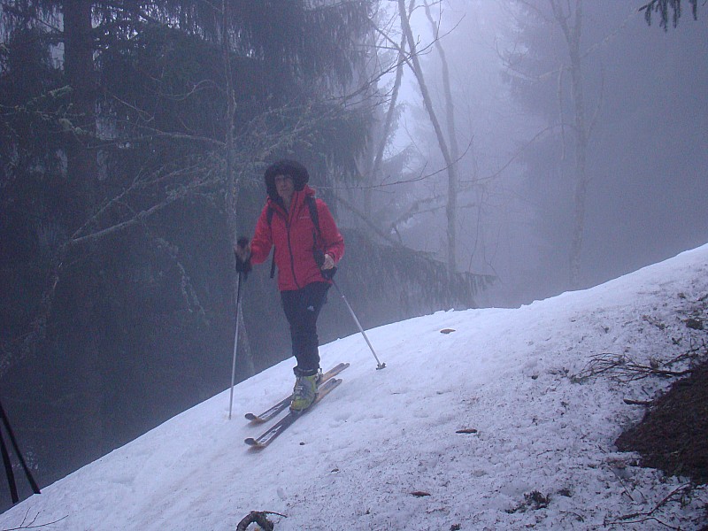 #1 Ambiance brouillard : dans la forêt (Hélène et Michel) Ambiance brouillard : dans la forêt (Hélène et Michel)