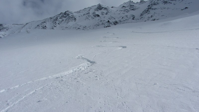 #15 Traces : La neige est bien bonne ! Traces : La neige est bien bonne !
