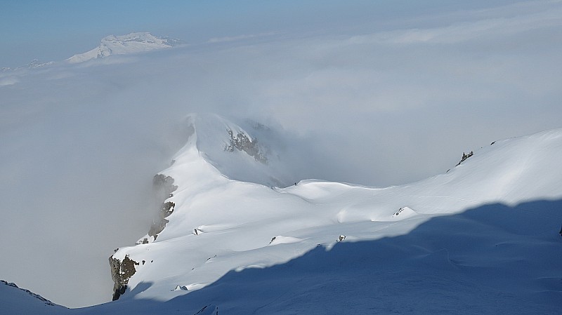 #2 Etale pointeW : le niveau du brouillard Etale pointeW : le niveau du brouillard