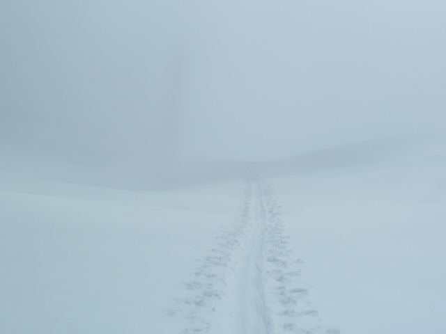 #1 trace : sous le brouillard trace : sous le brouillard