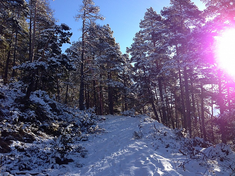 #1 Montée par la piste : Montée par la piste, avec au saupoudrage bienvenu pour chausser bas pour un 9 avril Montée par la piste : Montée par la piste, avec au saupoudrage bienvenu pour chausser bas pour un 9 avril