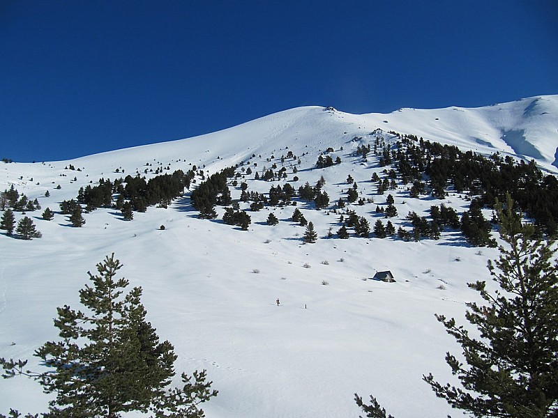 #1 Vallon de Brafame : Balise 81 Vallon de Brafame : Balise 81