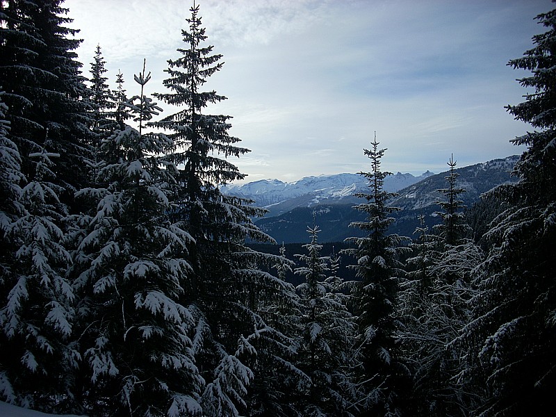 #1 C C'est l'hiver !! : Les sapins disent Février, mais le soleil dit Fin Avril