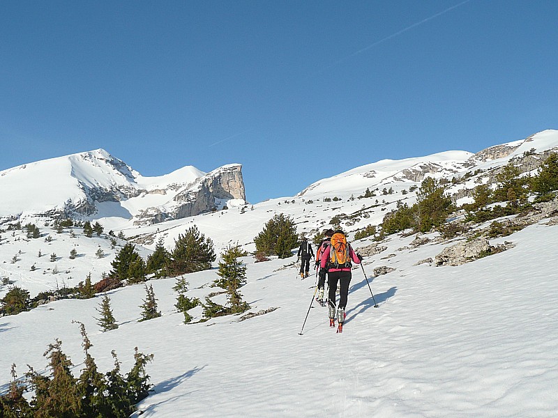 #1 Sortie de la forêt : La neige chauffe déjà Sortie de la forêt : La neige chauffe déjà