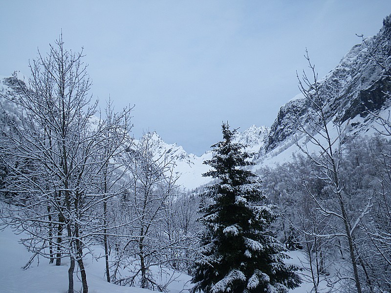 #1 combe des Roches : C combe des Roches : C'est encore l'hiver