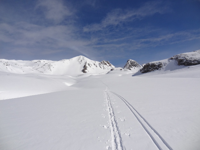 #2 Vallon des Sarrasins Vallon des Sarrasins