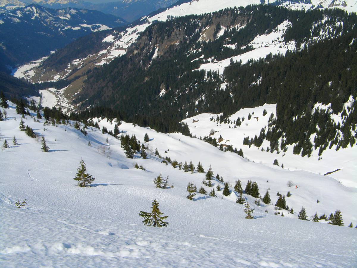 #10 Pointe des Verts : Finalement j Pointe des Verts : Finalement j'aurais une bonne neige pour le bas