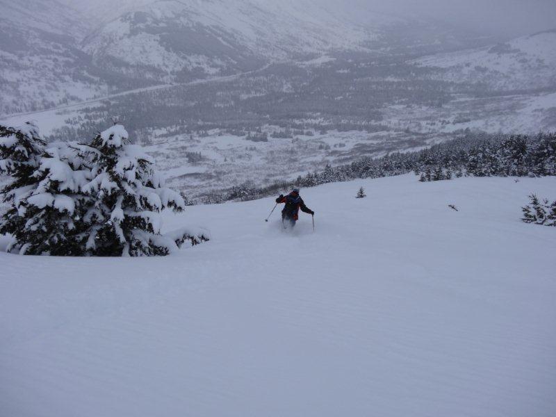 #46 Turnagain Pass 2ème jour : ya bon l Turnagain Pass 2ème jour : ya bon l'Alaska