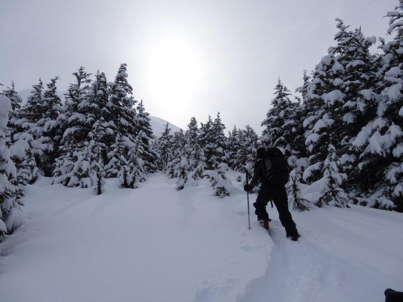 Turnagain Pass : montée à Tincan Proper