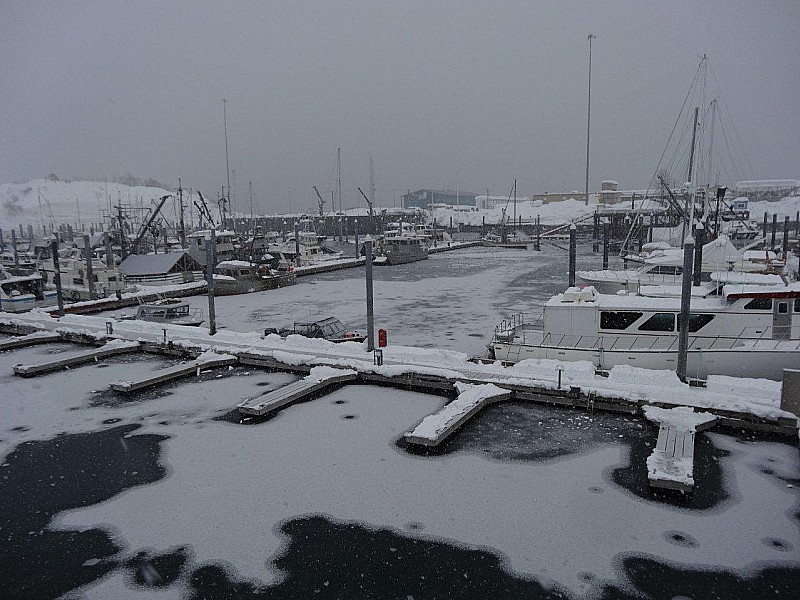 Port de Valdez : Valdez c'est pas St Trop!