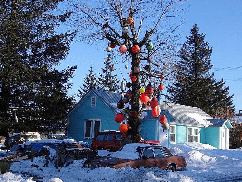 Seward : On s'est demandé si c'était la déco de noël ?