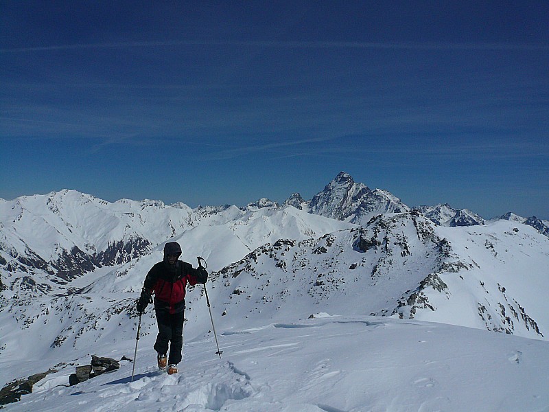 #5 Cime du Loup : Viso au fond Cime du Loup : Viso au fond