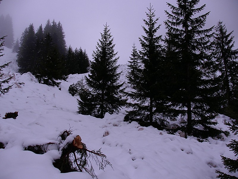 #1 Avalanches : normalement on peu montée tout droite ici et les avalanches pass a droit dans la combe. Audjourd Avalanches : normalement on peu montée tout droite ici et les avalanches pass a droit dans la combe. Audjourd'hui avalanche partout