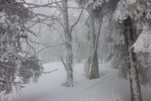 #2 vers 1400m : la photo du jour : ici plus d vers 1400m : la photo du jour : ici plus d'1 metre de neige, peut etre 2 ??