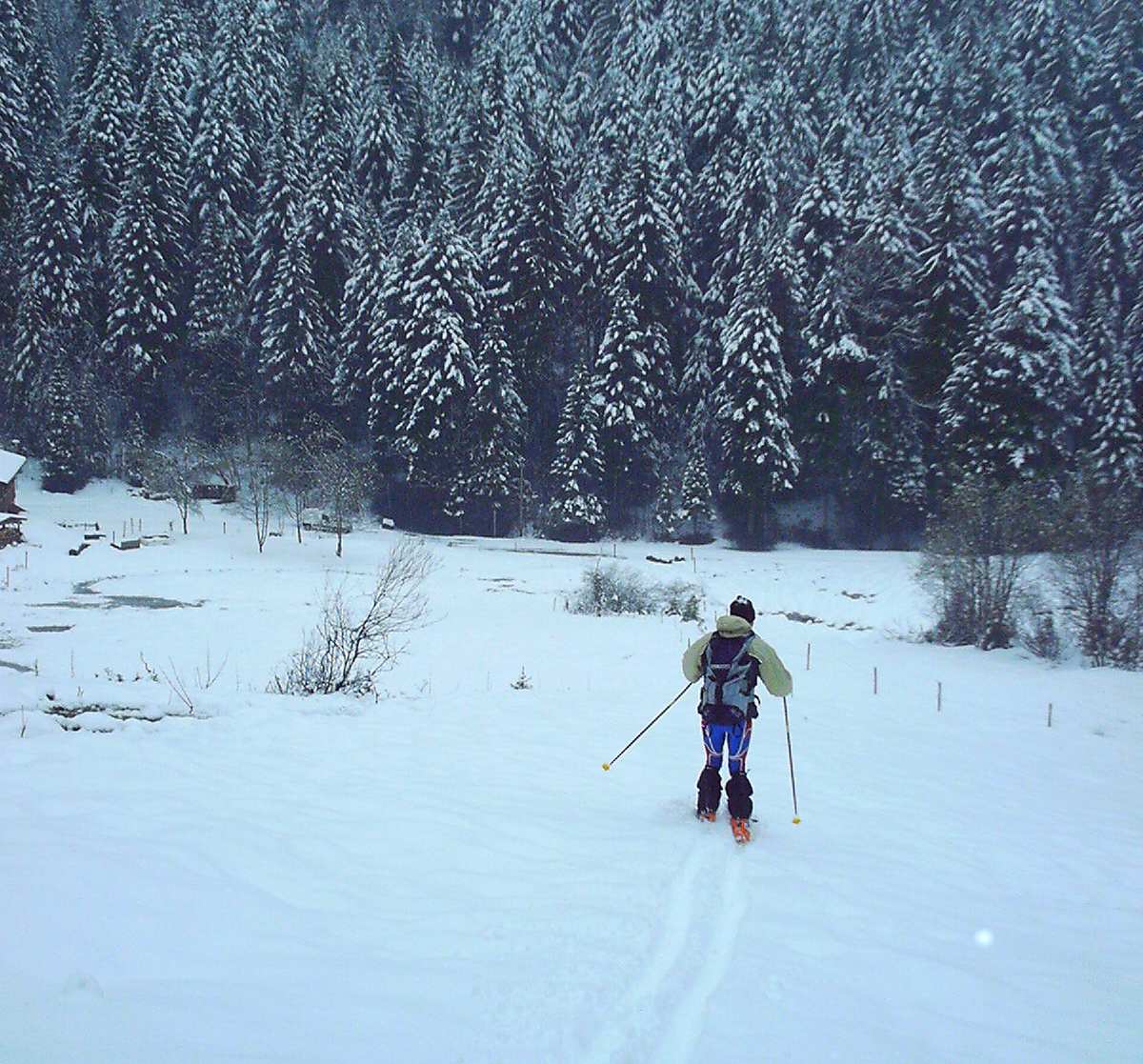 #1 La ruchére : Cette photo pour montrer l La ruchére : Cette photo pour montrer l'enneigement d'un 09 mai 2004 ...