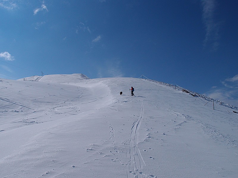 #1 Haut du vallon de l Haut du vallon de l'Alpet : Sommet en vue...
