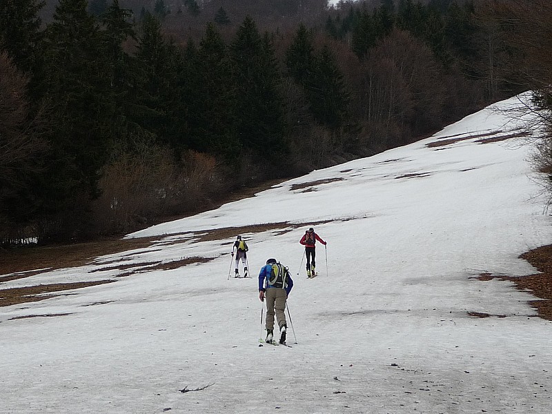 #1 granier tancovaz : Enfin la neige sur le haut de la piste granier tancovaz : Enfin la neige sur le haut de la piste