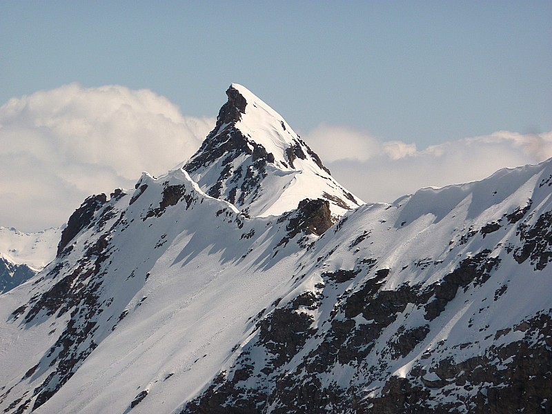 #7 Il a de la gueule! : Et un autre sur le Pic Est Il a de la gueule! : Et un autre sur le Pic Est