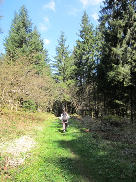 #7 Portage : Les paysages verdissent. Portage : Les paysages verdissent.