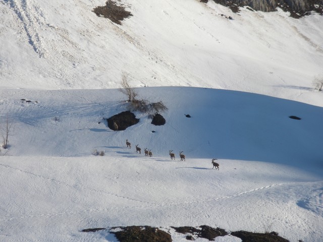#1 Le premier groupe : Ils ont probablement bivouaqué sur place, ils sont les premiers à tracer. Le premier groupe : Ils ont probablement bivouaqué sur place, ils sont les premiers à tracer.