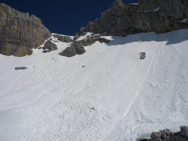 #4 Col de Cu Déri : De très nombreuses purges. Col de Cu Déri : De très nombreuses purges.