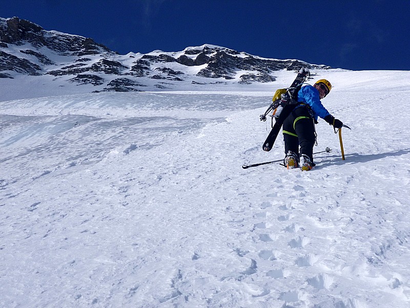 #21 Fan dans son élément : c Fan dans son élément : c'est grand, par ici!