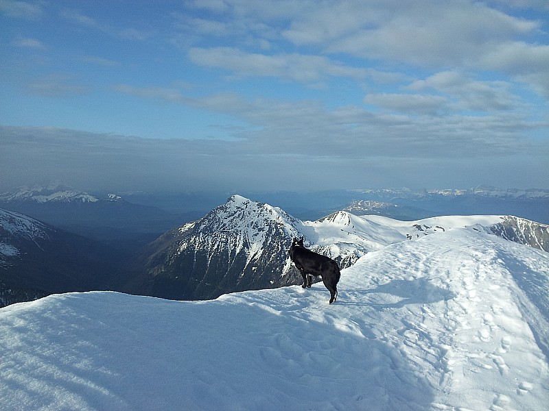 #4 crêtes du petit taillefer : corniche mode d crêtes du petit taillefer : corniche mode d'emploi canin... @ ne pas suivre