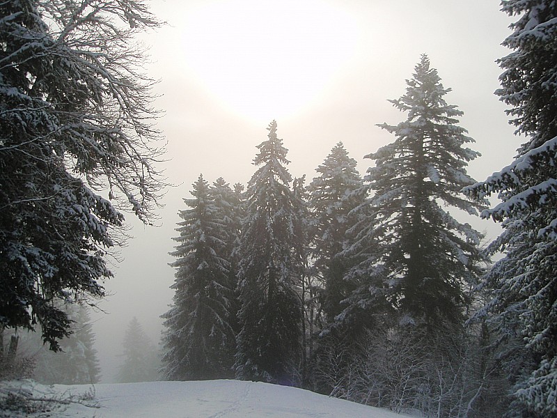 #3 Ambiance 2804 : Hivernal! Ambiance 2804 : Hivernal!