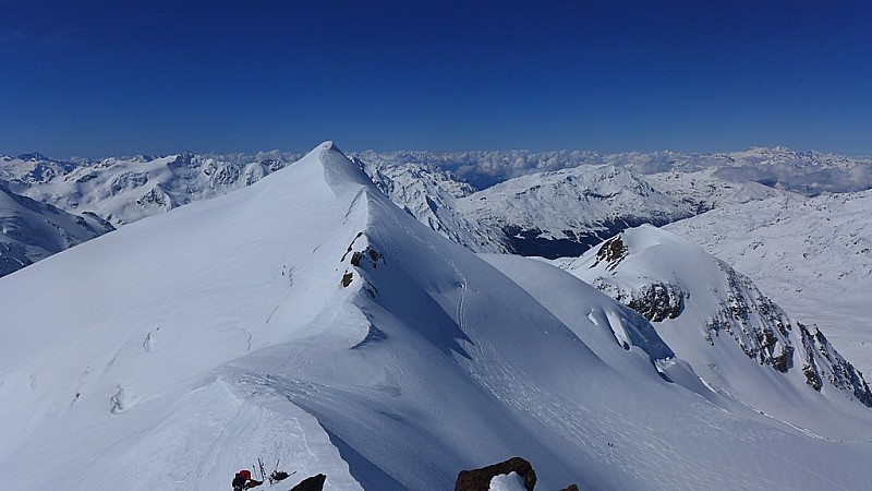 #11 l l'arête vers le Cevedale : Depuis le Zufall