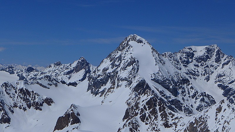 #14 LE GRAND ZEBRU : Le seigneur des lieux LE GRAND ZEBRU : Le seigneur des lieux