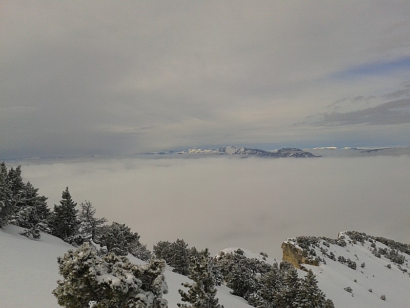 #3 Mer de nuage : On est mieux ici qu Mer de nuage : On est mieux ici qu'au bistrot :) Une pensée à ceux qui sont restés dessous :$