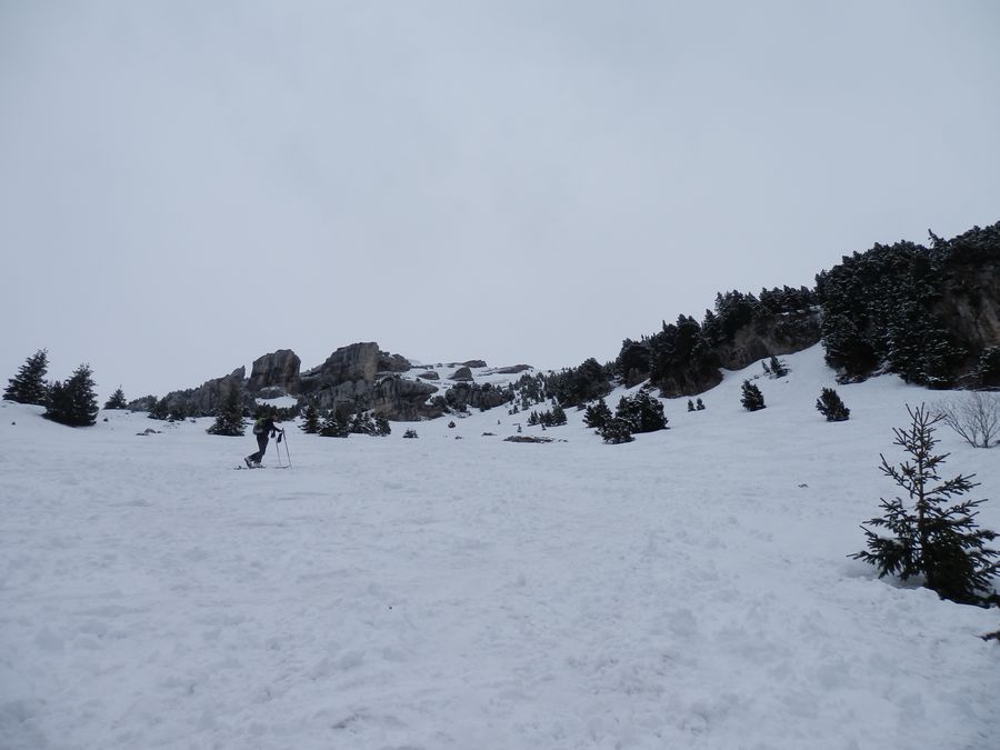 #2 Neige un peu lourde : Mais il en reste encore beaucoup ! Neige un peu lourde : Mais il en reste encore beaucoup !
