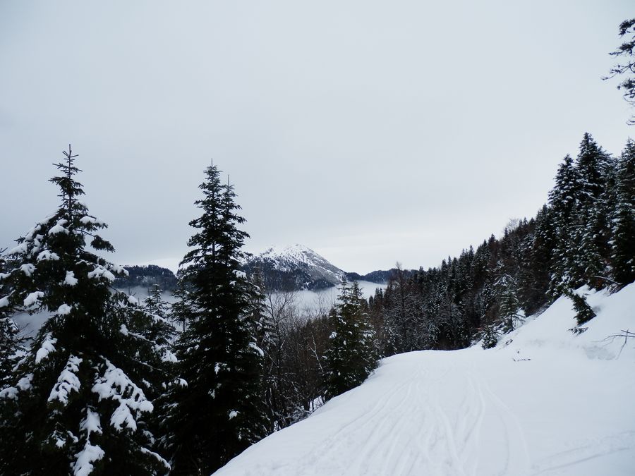 #1 Haut des pistes : Ambiance hivernale Haut des pistes : Ambiance hivernale