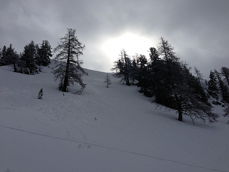 #7 Le soleil a fait une brève : apparition Le soleil a fait une brève : apparition
