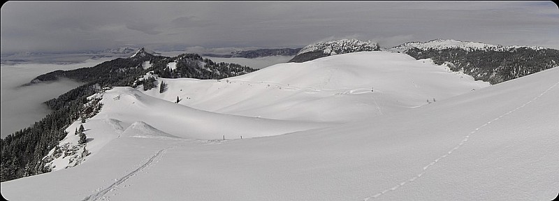 #6 Janvril en Chartreuse Janvril en Chartreuse