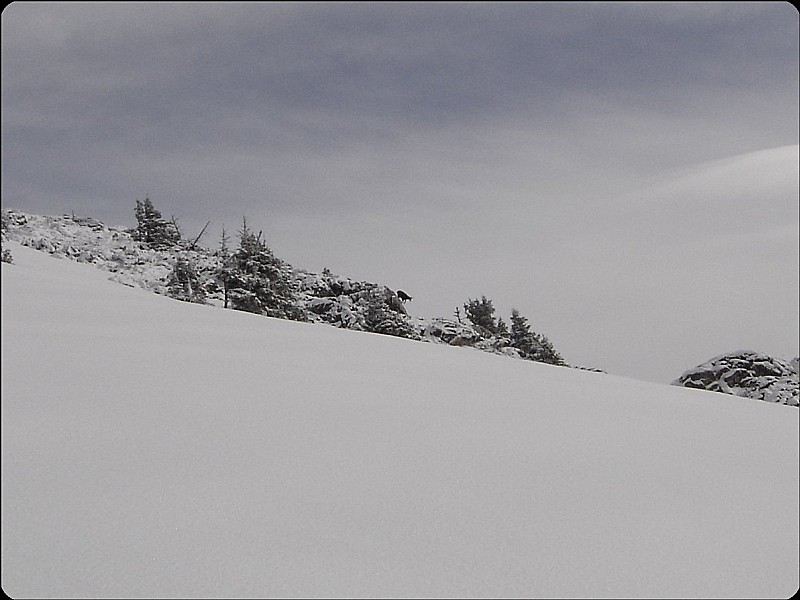 #7 Finalement, on ne serra pas les prems au sommet. Finalement, on ne serra pas les prems au sommet.