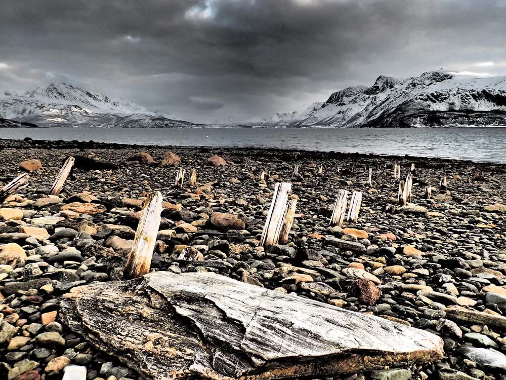 #29 marée basse : Où sont les vikings? marée basse : Où sont les vikings?