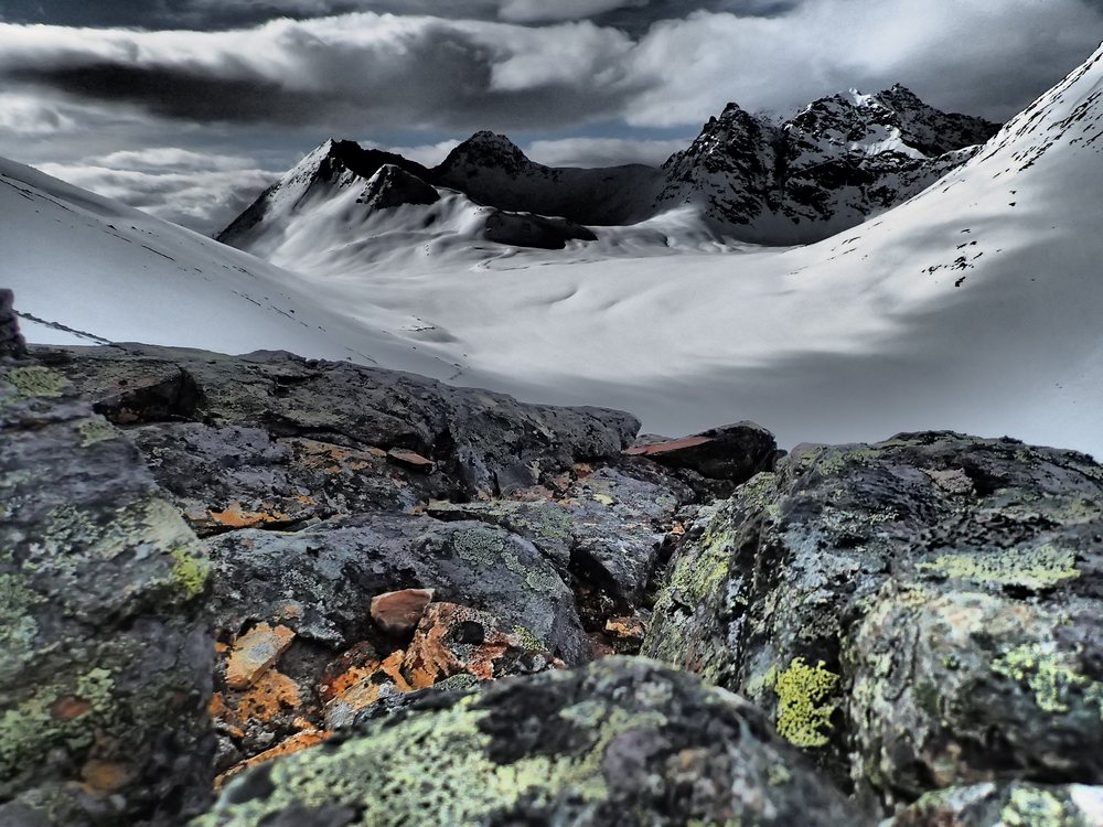 #26 Du lichen aussi : Grand espaces vers la Tytebaerdalen (vallée des airelles, que l Du lichen aussi : Grand espaces vers la Tytebaerdalen (vallée des airelles, que l'on a appréciées en confiture)