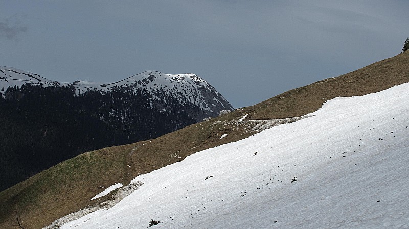 #3 Charmant som : Le charmant som retourne petit à petit aux randonneurs et grimpeurs! Quand à la butte, elle sera bientôt cyclable à coté des skieurs ;p Charmant som : Le charmant som retourne petit à petit aux randonneurs et grimpeurs! Quand à la butte, elle sera bientôt cyclable à coté des skieurs ;p