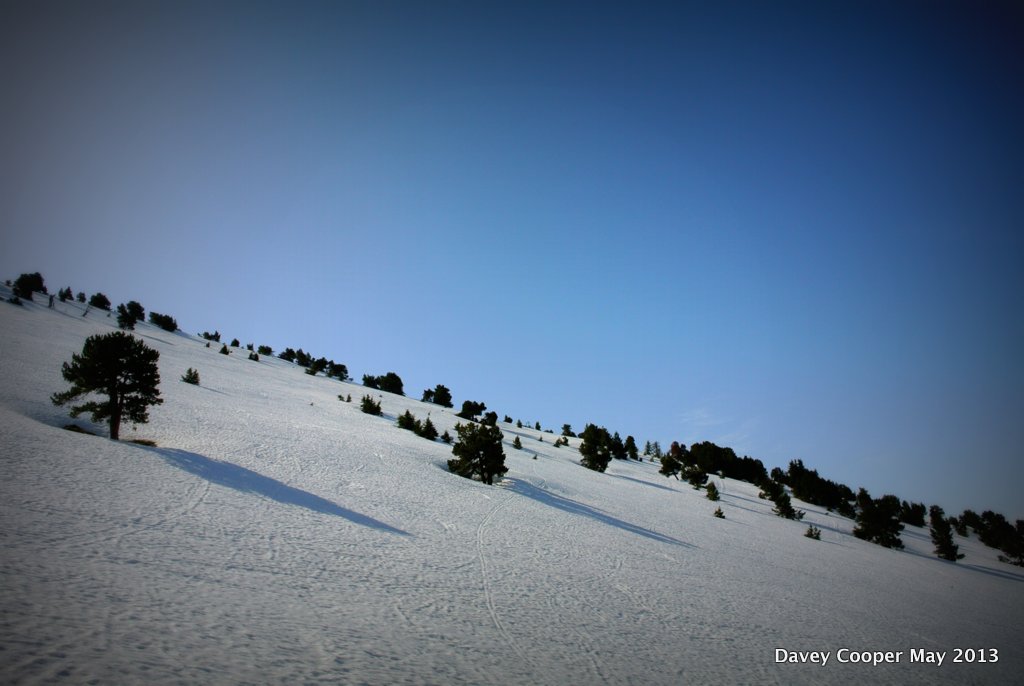 #2 Bon neige ... Bon neige ...
