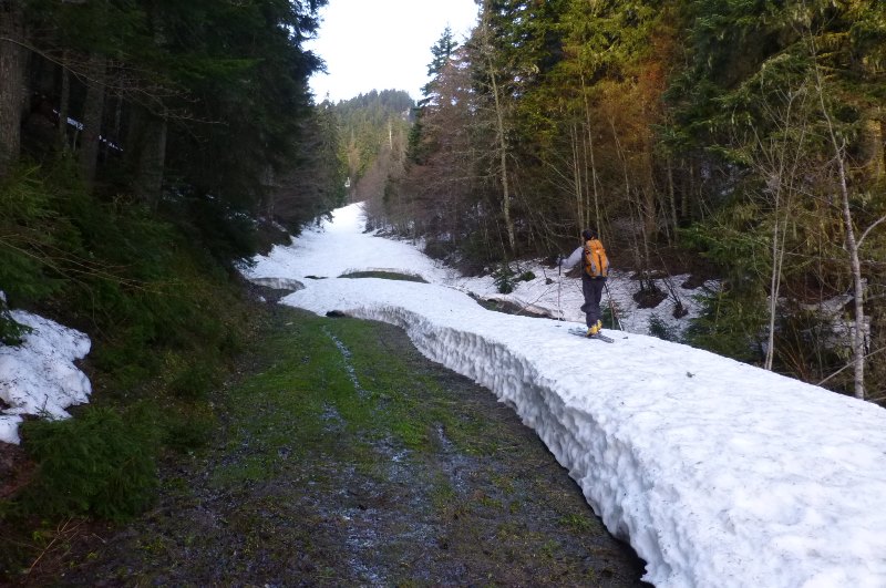 #1 piste : C piste : C'est le printemp