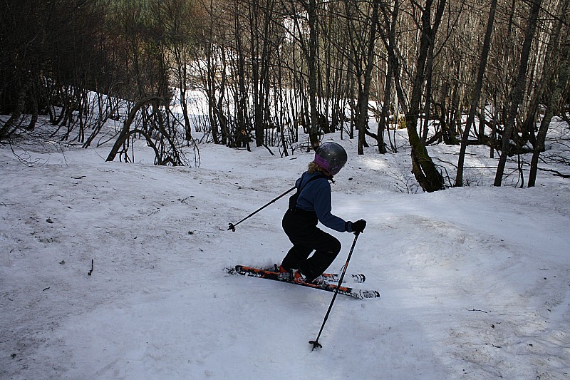 #5 forêt : ça passe encore très bien, virages serrés quand même forêt : ça passe encore très bien, virages serrés quand même