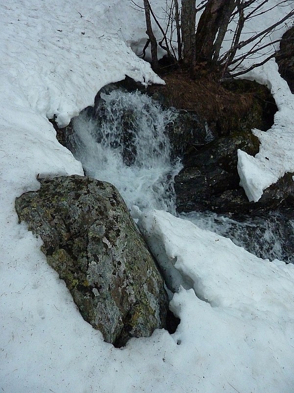 #3 Printemps : L Printemps : L'eau jaillit